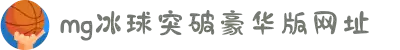 mg冰球突破·豪华版(试玩)官方网站